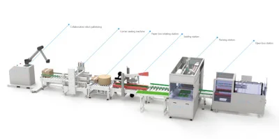 Bag Cartoning and Palletizing Line