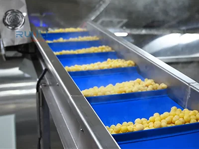 Complete Potato Packaging Line