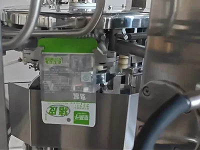 Rotary Vacuum Packaging Machine