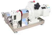 Rotary Lobe Pump